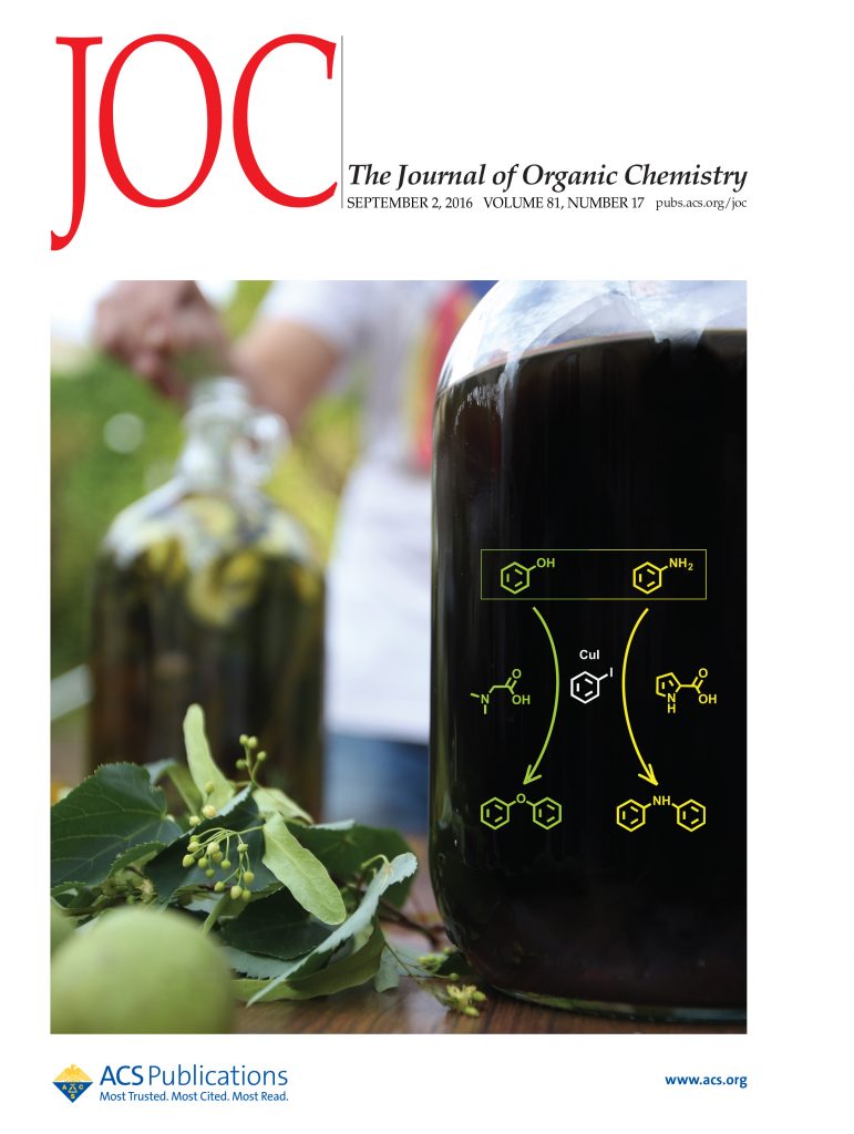 J. Org. Chem. cover by Xavi Ribas and co-workers