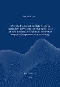 Oriented external electric fields in chemistry: Development and application of new methods to simulate molecular response properties and reactivity