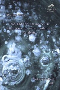 Iron and Iridium molecular complexes for water oxidation catalysis
