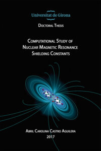 Computational Study of Nuclear Magnetic Resonance Shielding Constants