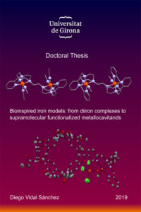Bioinspired iron models: From diiron complexes to supramolecular functionalized metallocavitands