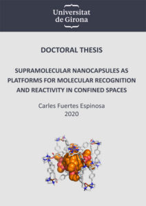 Supramolecular nanocapsules as platforms for molecular recognition and reactivity in confined spaces