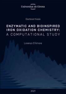 Enzymatic and bioinspired iron oxidation chemistry: a computational study