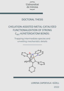 Chelation-assisted metal-catalyzed functionalization of strong Csp2-H / Heteroatom bonds: Trapping intermediate species and unveiling mechanistic details