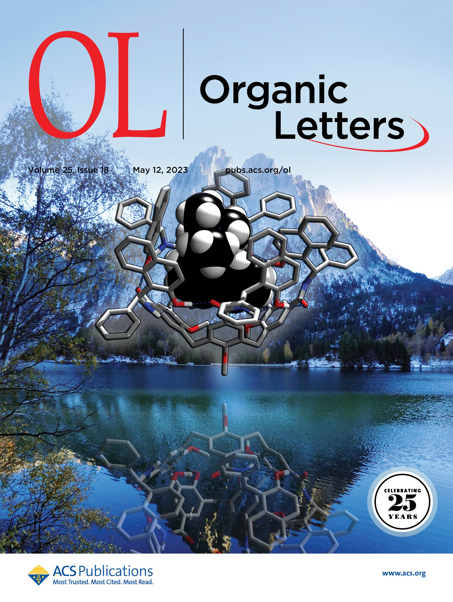 10.1021/acs.orglett.3c00463