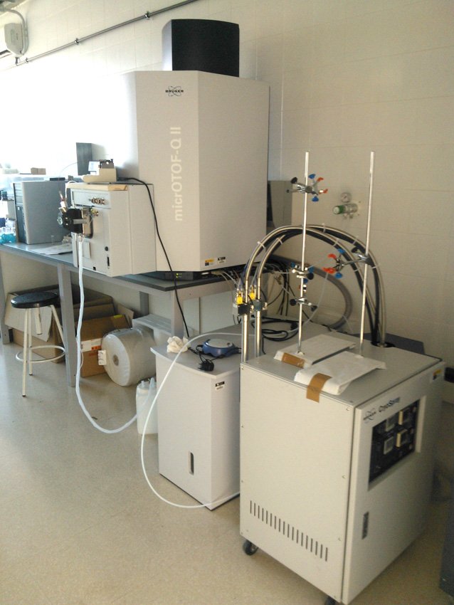 11_Bruker_MS